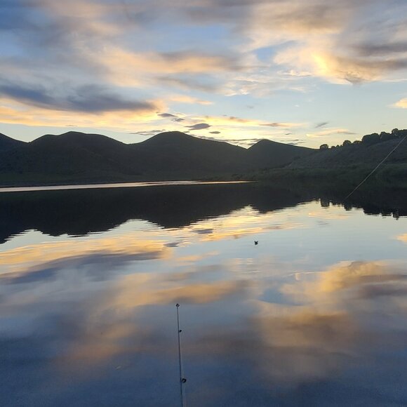 Meet your Posher, Cassidy - Picture 1 of 1